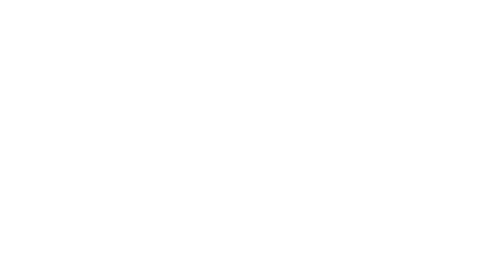 The Occasionist